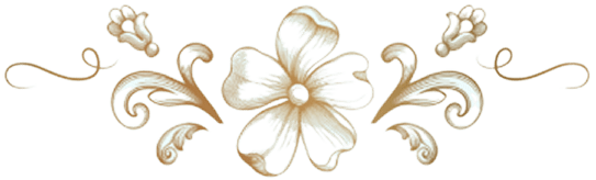 detalhe-flor